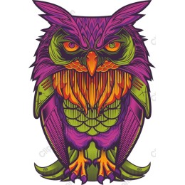 Mystical Vibrant Owl