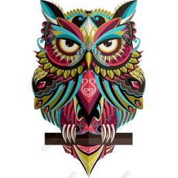 Vibrant Owl