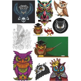 Owl Bundle - Vibrant Owl
