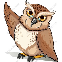 Wise Owl