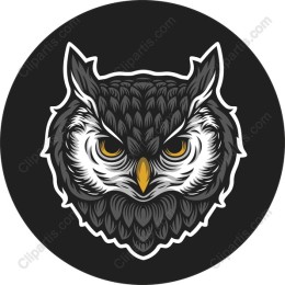 Owl Head