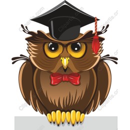 Wise Owl Graduate