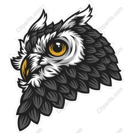Majestic Owl Head