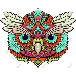 Colorful Owl