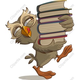Wise Owl Bookkeeper