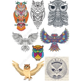 Owl Bundle - Unique