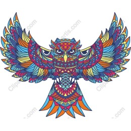 Colorful Owl