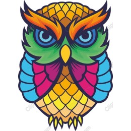 Vibrant Owl