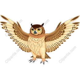 Majestic Owl