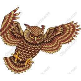 Majestic Owl