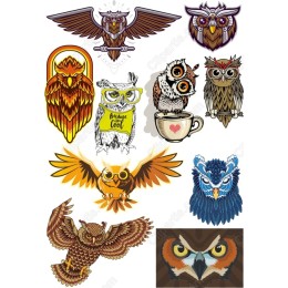 Owl Set - 10 Unique