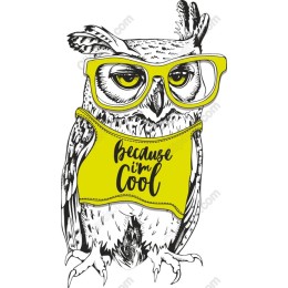 Cool Owl with Glasses and Because I'm Cool Shirt