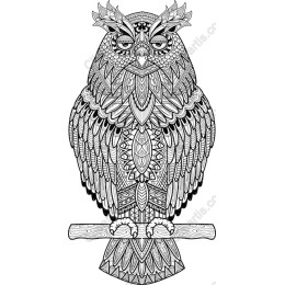 Majestic Owl
