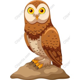 Cartoon Owl