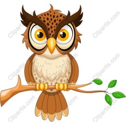 Whimsical Owl