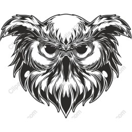 Majestic Owl