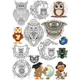 Owl Set - 15 Unique s