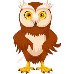 Adorable Cartoon Owl
