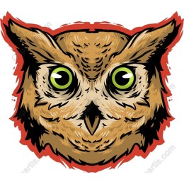 Owl work - Nature's Wisdom in High Definition