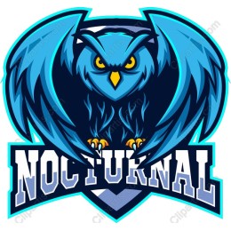 Nocturnal Owl