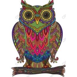 Vibrant Owl