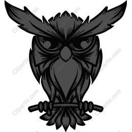 Mystic Owl