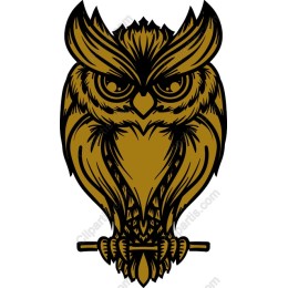 Majestic Owl