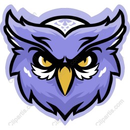 Vibrant Purple Owl Head