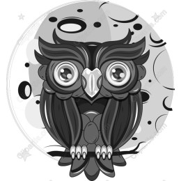Cosmic Owl