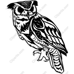 Majestic Black and White Owl
