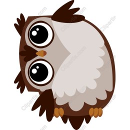 Charming Owl