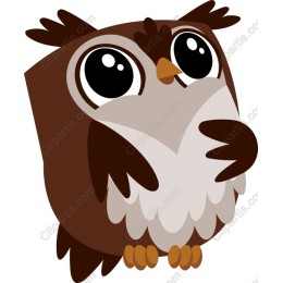 Cute Brown Owl