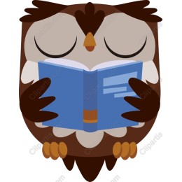 Wise Owl Reading
