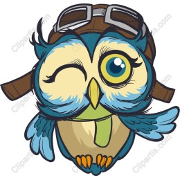 Winking Aviator Owl