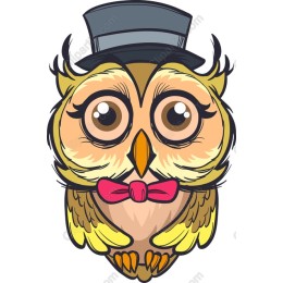 Dapper Owl