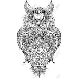 Majestic Owl - Intricate Hand-Drawn