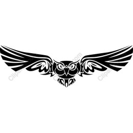 Tribal Owl