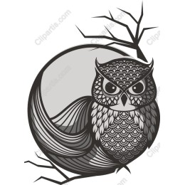 Elegant Owl