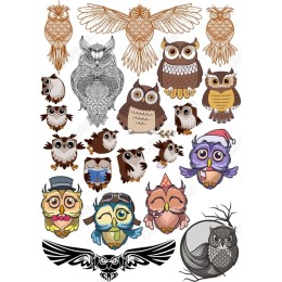 Whimsical Owl Bundle