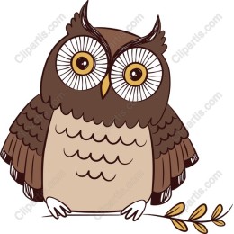 Charming Owl
