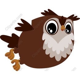 Chubby Owl