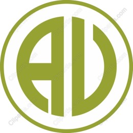 Premium Modern Logo