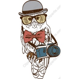 Dapper Owl