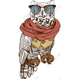 Dapper Owl