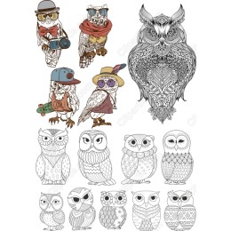 Whimsical Owl Bundle