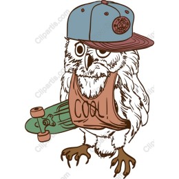 Cool Skateboarding Owl