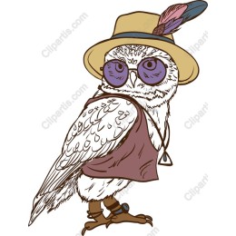 Chic Owl