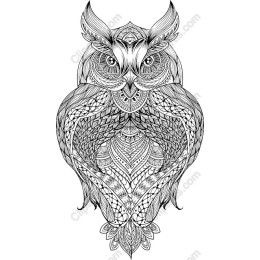 Intricate Owl Drawing in and