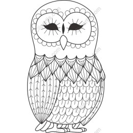 Whimsical Owl