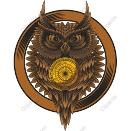 Owl Wisdom with Clock
